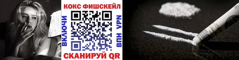 Купить закладки  Камень-на-Оби  COCAIN FishScale 
