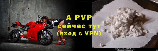 стаф Заволжье