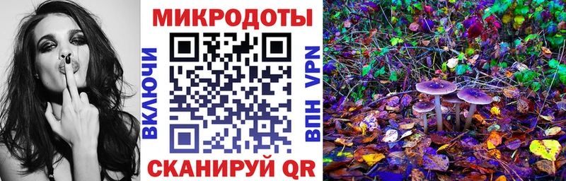 Псилоцибиновые грибы прущие грибы  Купить закладки  Камень-на-Оби 